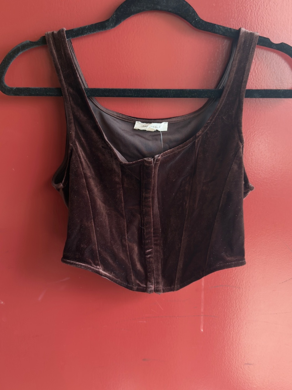 Bear Dance Brown Velvet Cropped Tank